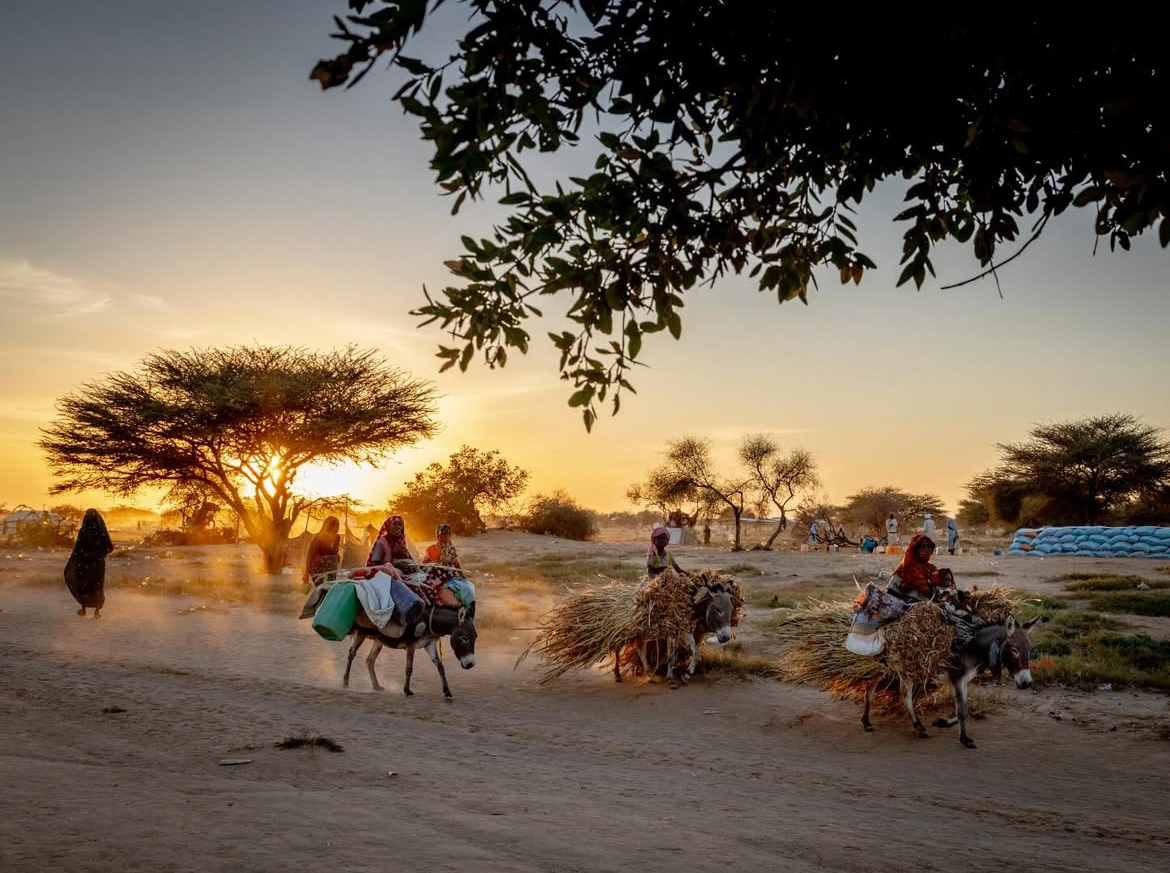 Sudan crisis 6